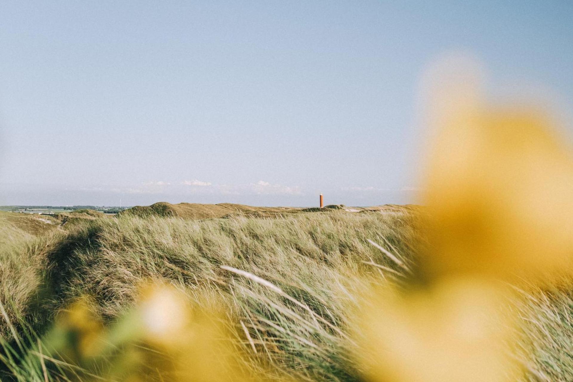 Vakantiehuis Beau - Julianadorp Aan Zee Exteriér fotografie