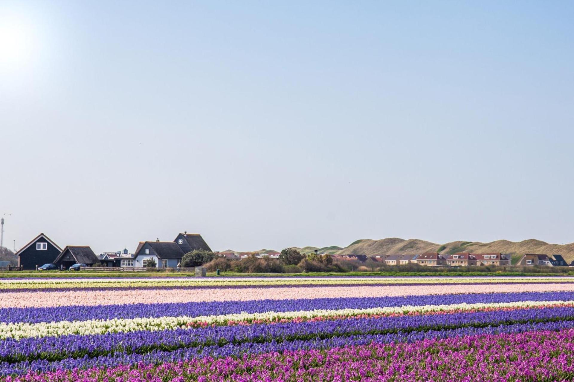 Vakantiehuis Beau - Julianadorp Aan Zee Exteriér fotografie